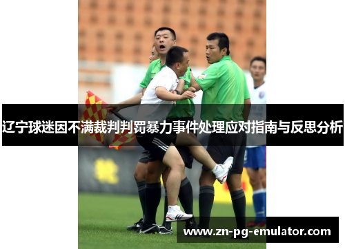 辽宁球迷因不满裁判判罚暴力事件处理应对指南与反思分析